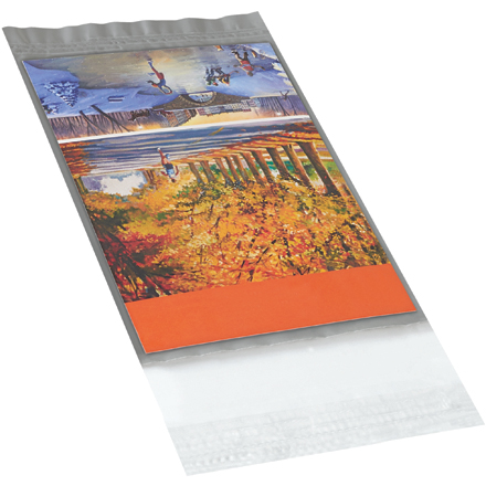 6 x 9" Clear View Poly Mailers 1000/Carton