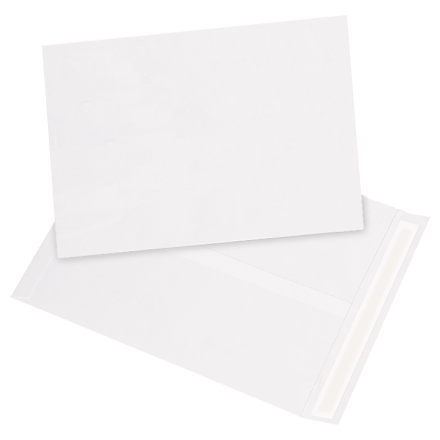 12 x 15 <span class='fraction'>1/2</span>" White Flat Tyvek<span class='rtm'>®</span> Envelopes